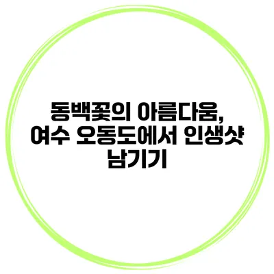 동백꽃의 아름다움, 여수 오동도에서 인생샷 남기기