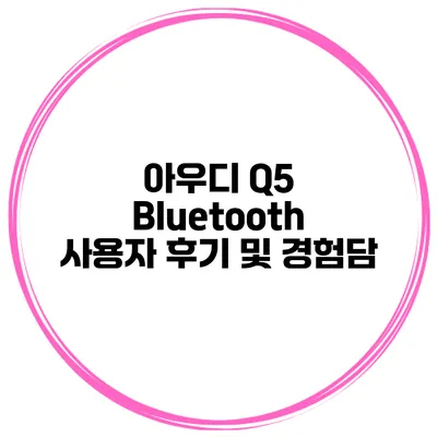 아우디 Q5 Bluetooth 사용자 후기 및 경험담