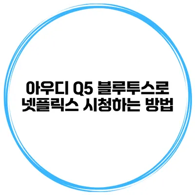 아우디 Q5 블루투스로 넷플릭스 시청하는 방법