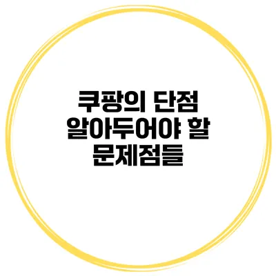 쿠팡의 단점 알아두어야 할 문제점들