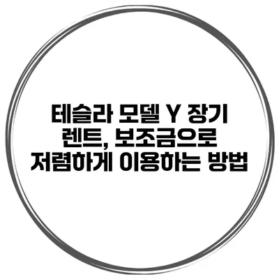 테슬라 모델 Y 장기 렌트, 보조금으로 저렴하게 이용하는 방법